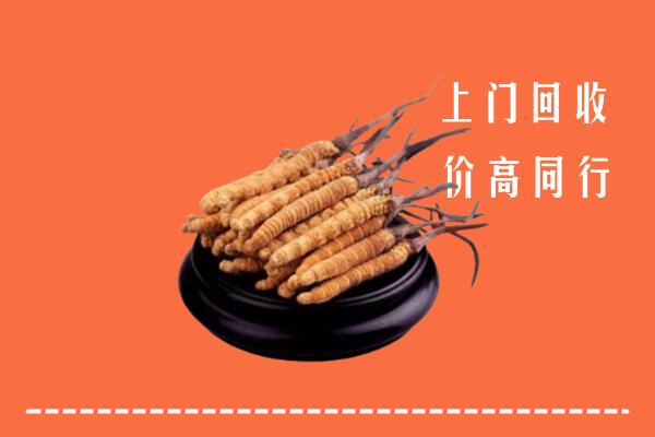 高价求购：永登县回收散虫草