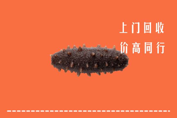 高价求购：永登县回收海参