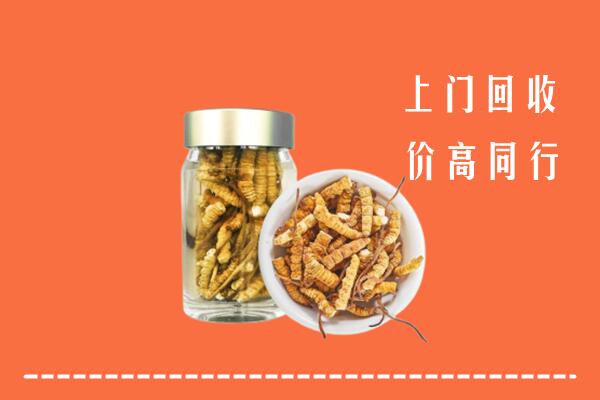 永登县回收冬虫夏草