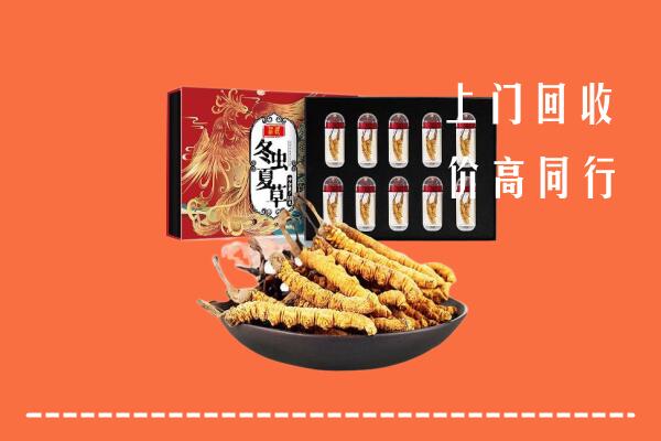 永登县回收虫草